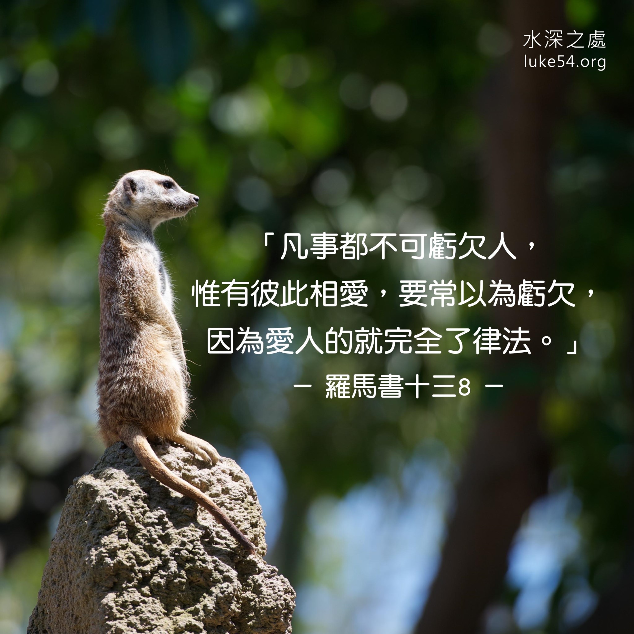 【水深LINE精選】阿丁的抉擇 | 水深之處