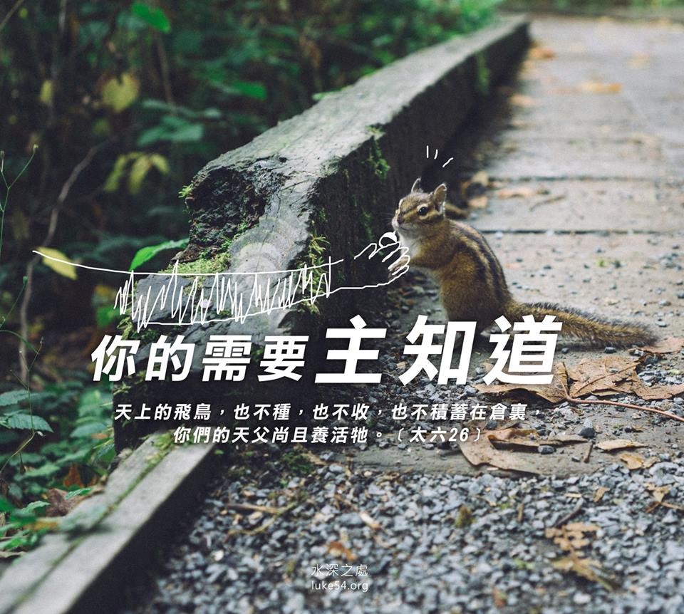 【水深LINE精選】你的需要主知道