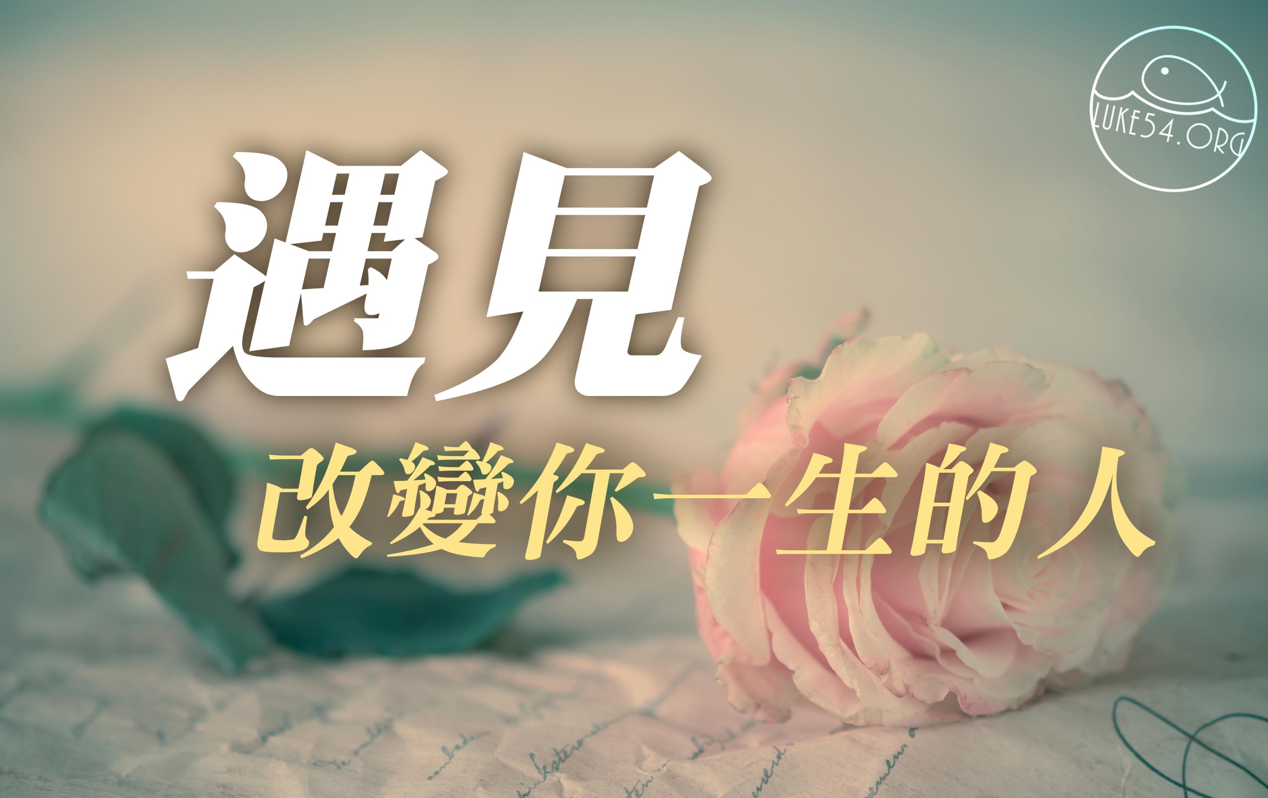 【水深LINE精選】乞丐與玫瑰花