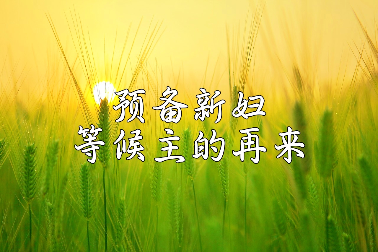 主的再来