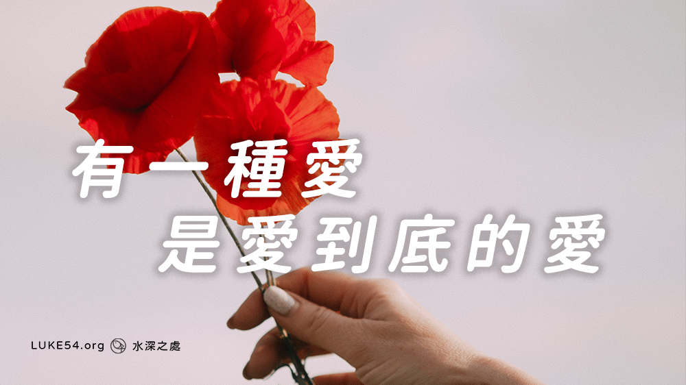 有一種愛,是愛到底的愛