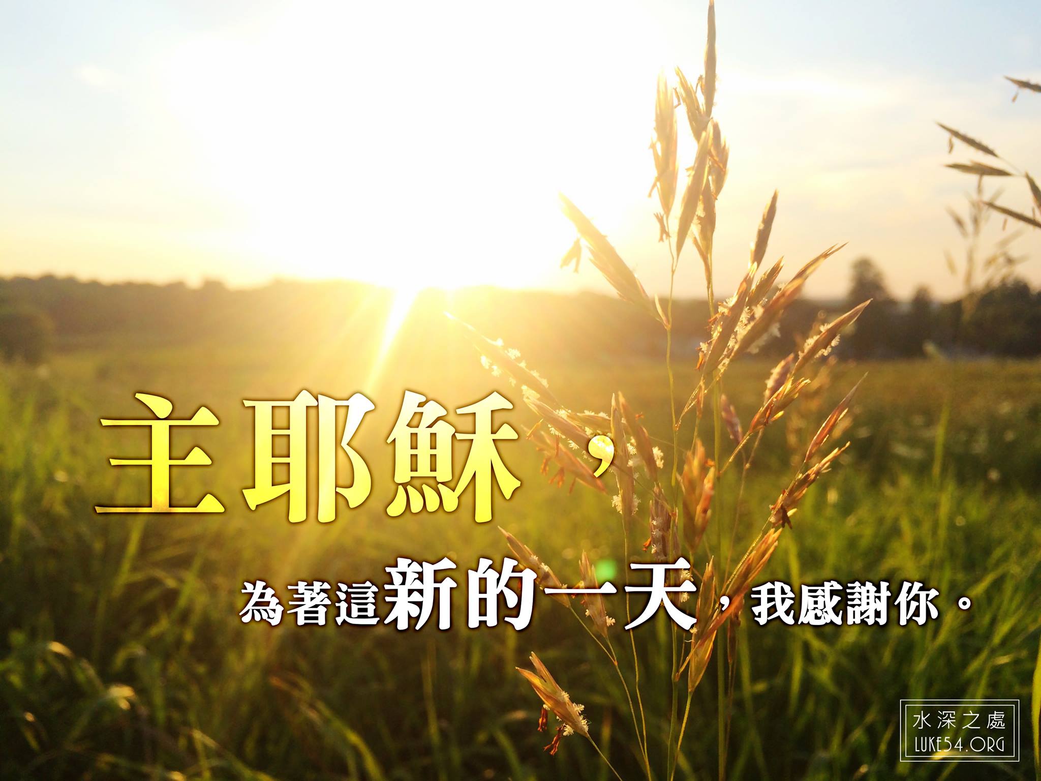 耶和華的憐恤,每早晨都是新的