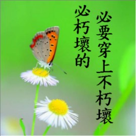 必朽壞、必死的,要穿上不朽壞、不死!