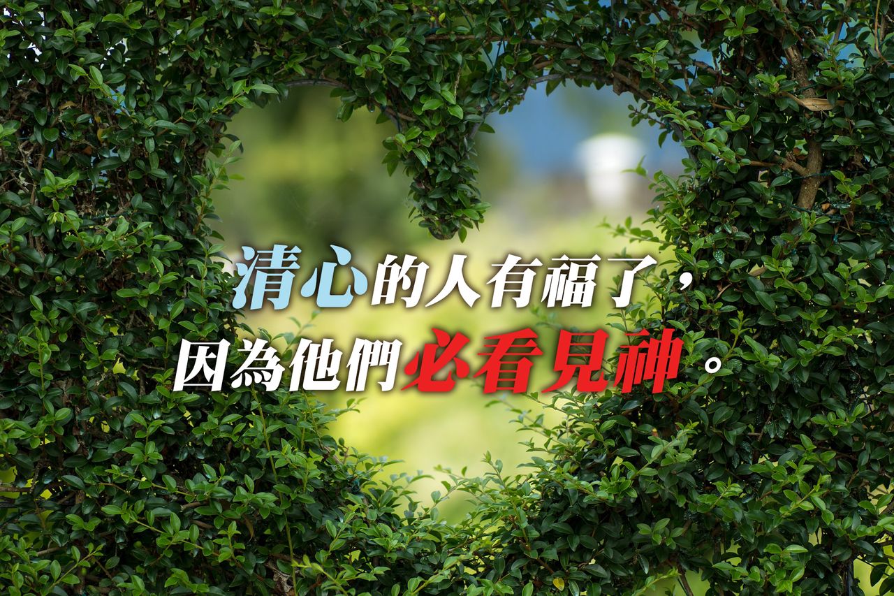 清心的人有福了
