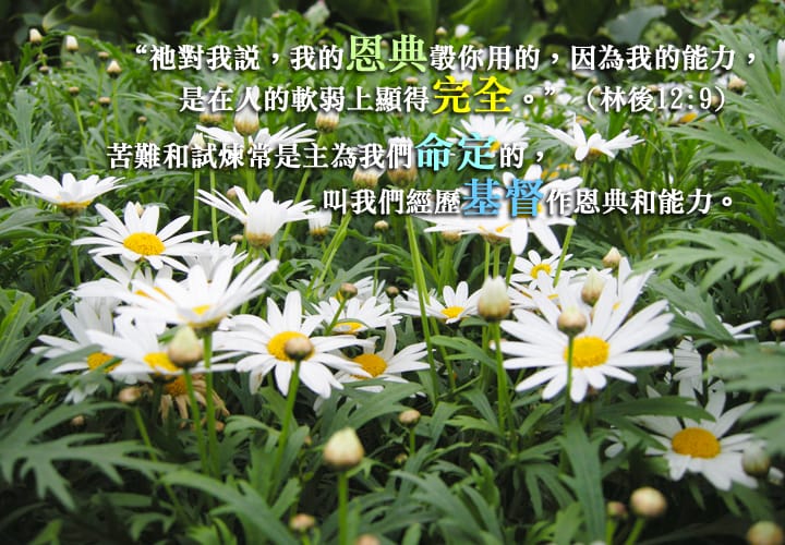 [單張] 基督作恩典