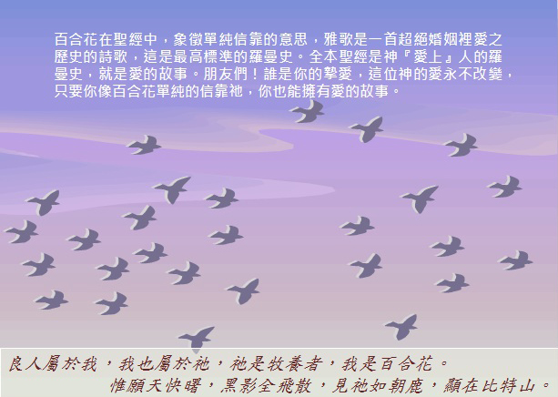 神與人的愛情故事