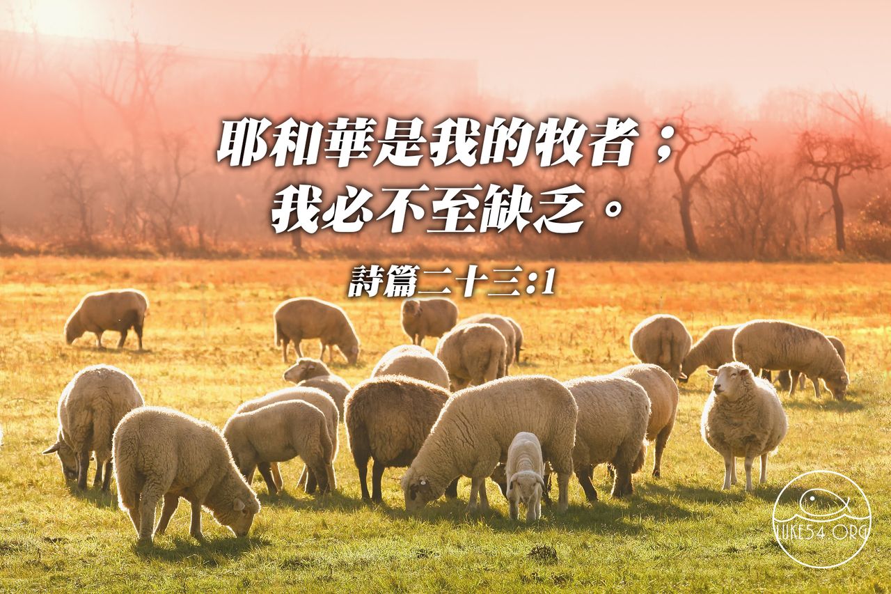 主耶穌─我魂的牧人