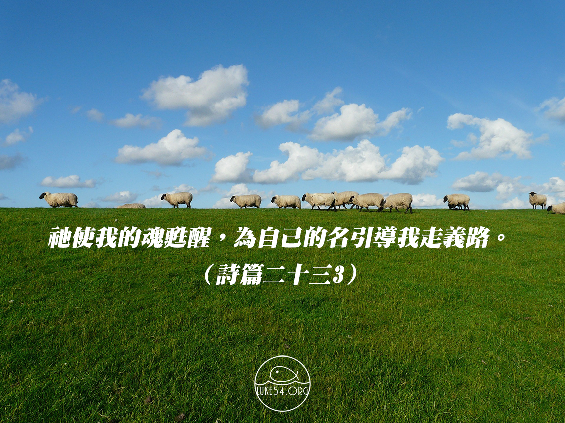 在凡事上成為對的