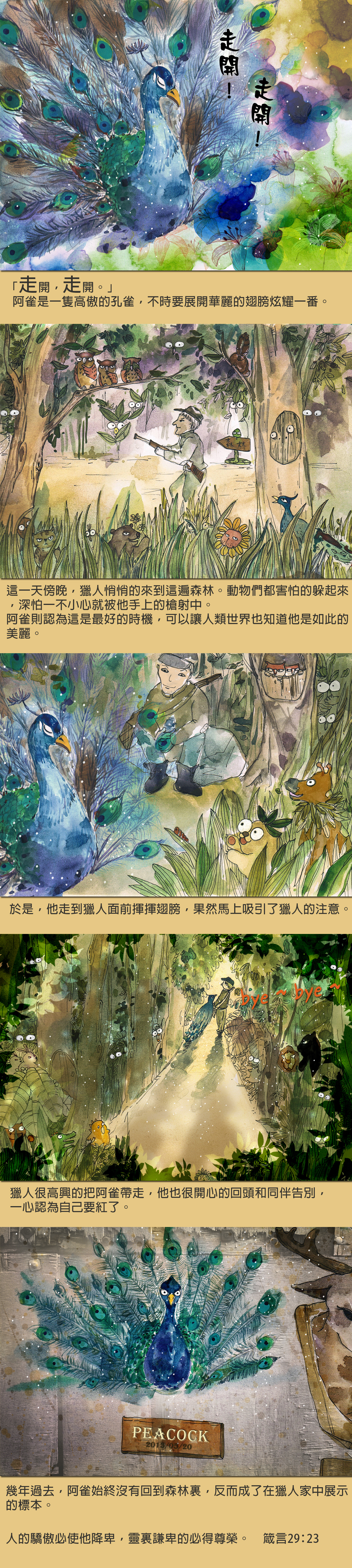 驕傲的孔雀