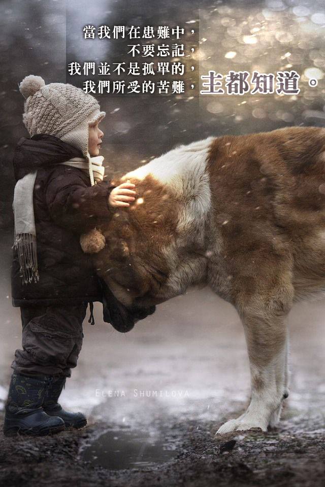[中英圖文系列]主都知道