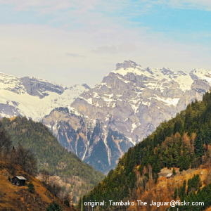 我是主聖別的弟兄!