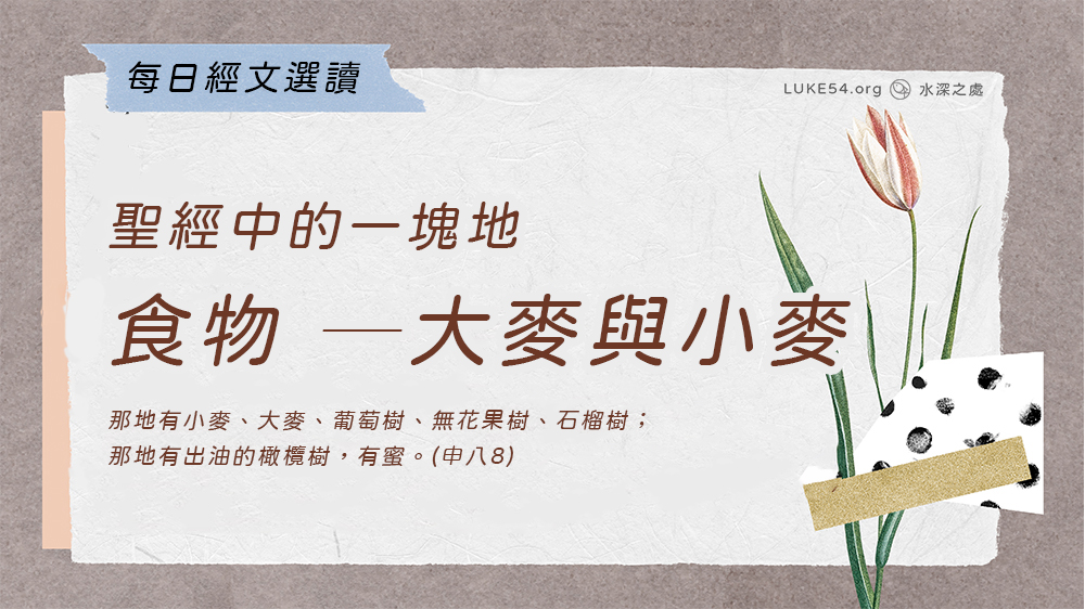 聖經中的一塊地《七》食物 ─大麥與小麥