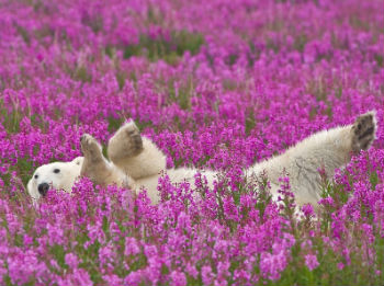 讓我們在主裡面常喜樂
