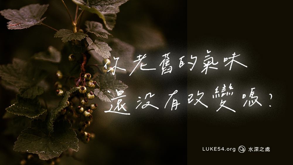 你老舊的氣味還沒有改變嗎?