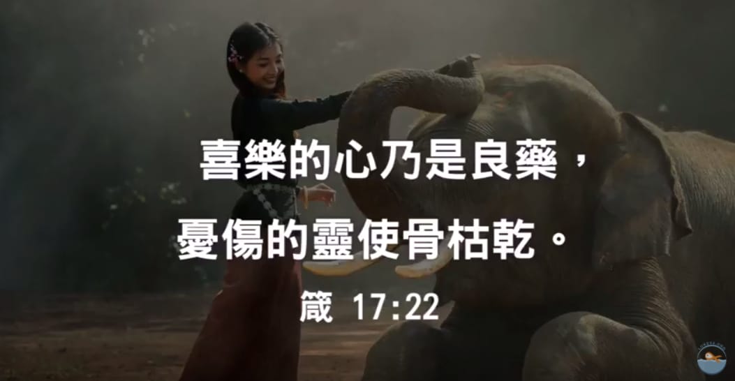 【動畫小卡】別浪費了今天在情緒上