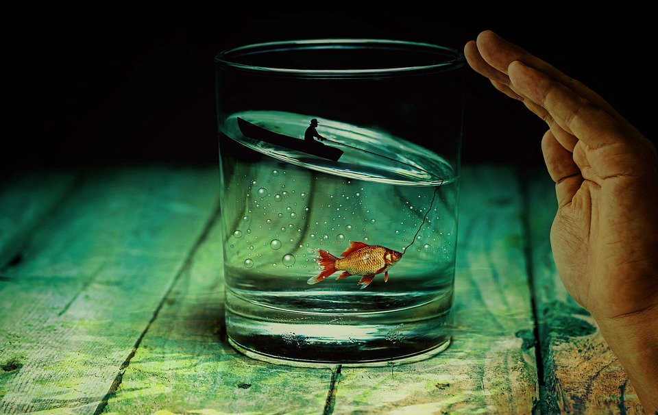 【故事】你的善心,讓一對金魚化為河川的怪物