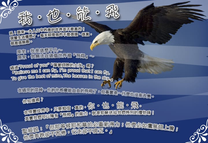 我 也 能 飛(老鷹版)