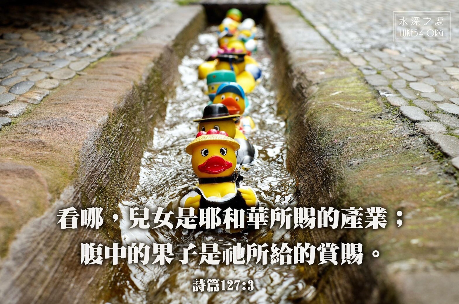 【水深LINE精選】假話會傷人