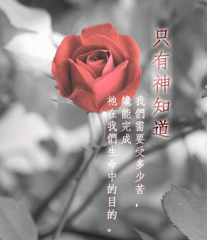 【水深圖文集】只有神知道