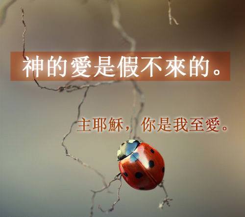 【水深圖文集】神的愛是假不來的