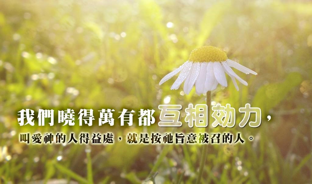一枚銅幣