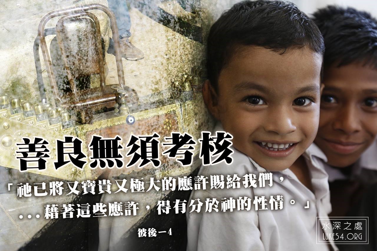善良無須考核