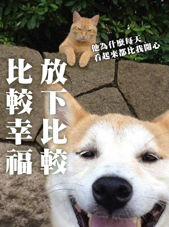 放下比較,比較幸福