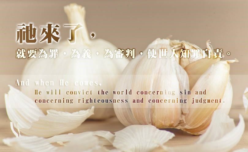 以毒攻毒?-職場菜鳥和經理的大蒜戰爭