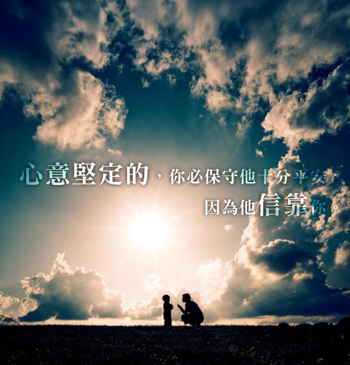 遺失的紗布