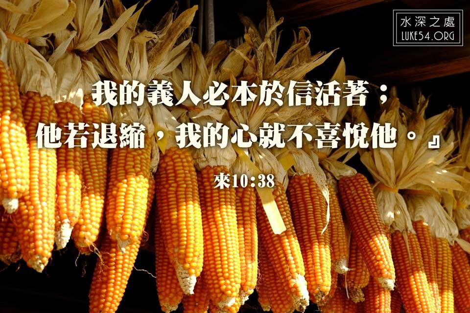 那根好棒棒的玉米!?