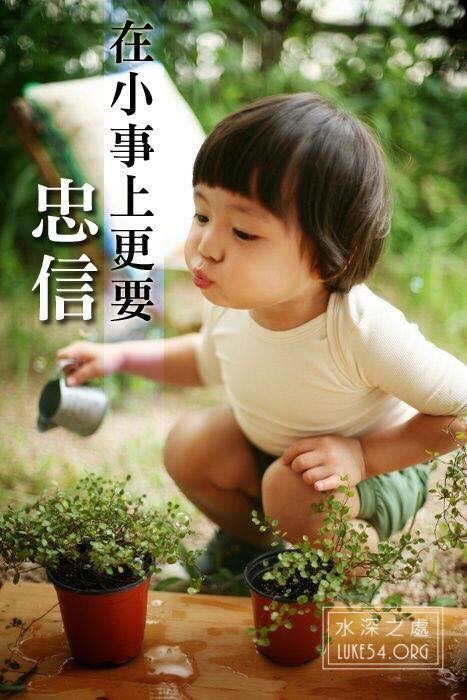 忠信:從一個小角色開始