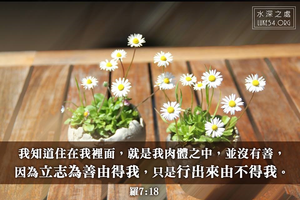 獨居仍會發怒