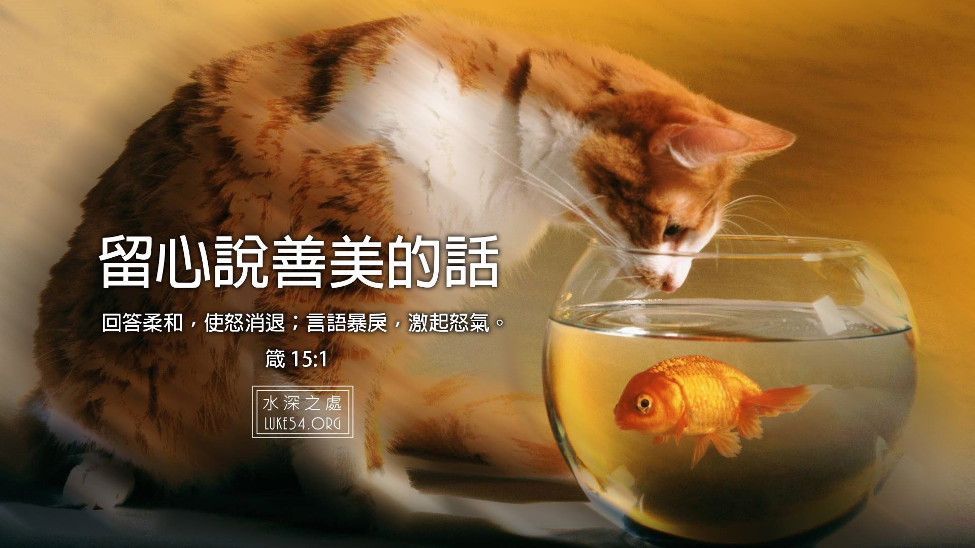 說話的藝術