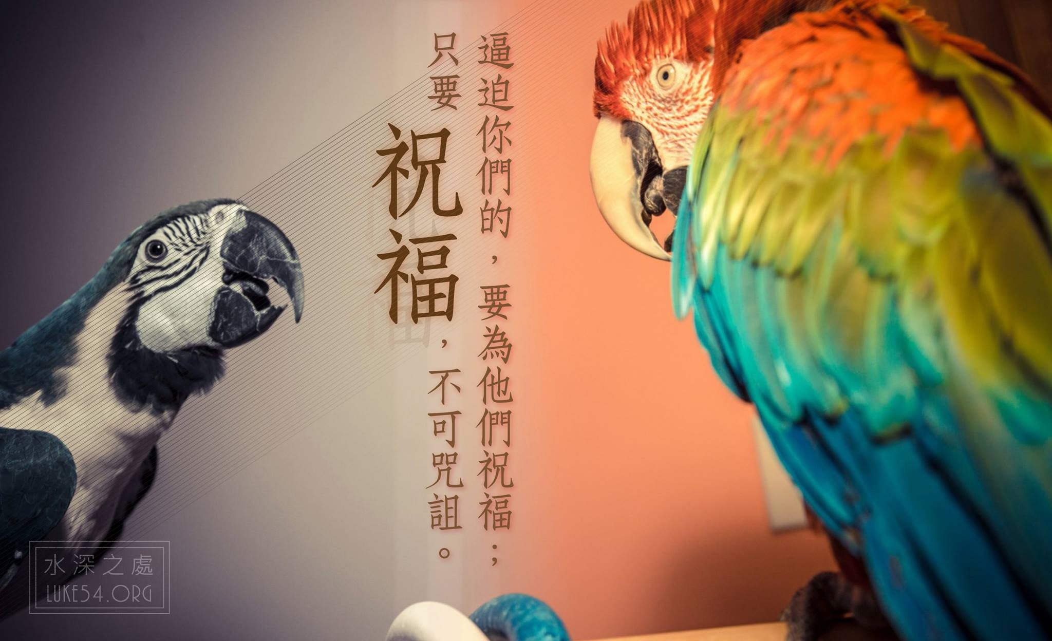 生氣的背後