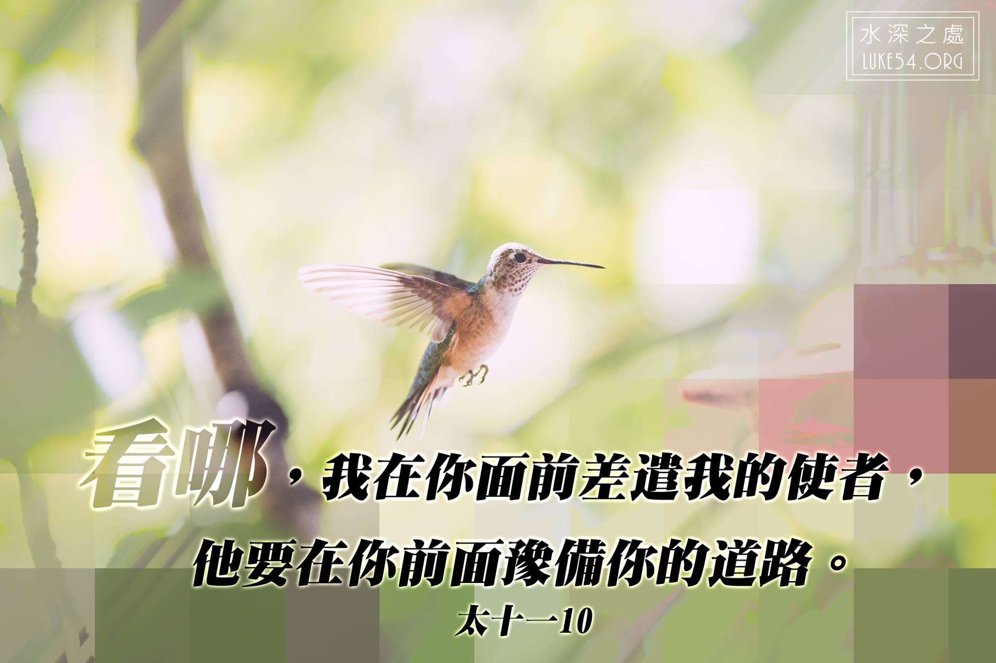 樵夫與銀鳥