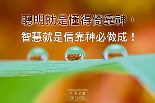 聰明和智慧有甚麼不同?