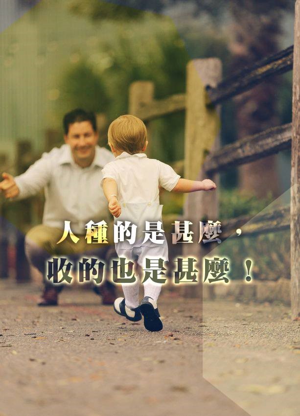 學習祝福 停止咒詛