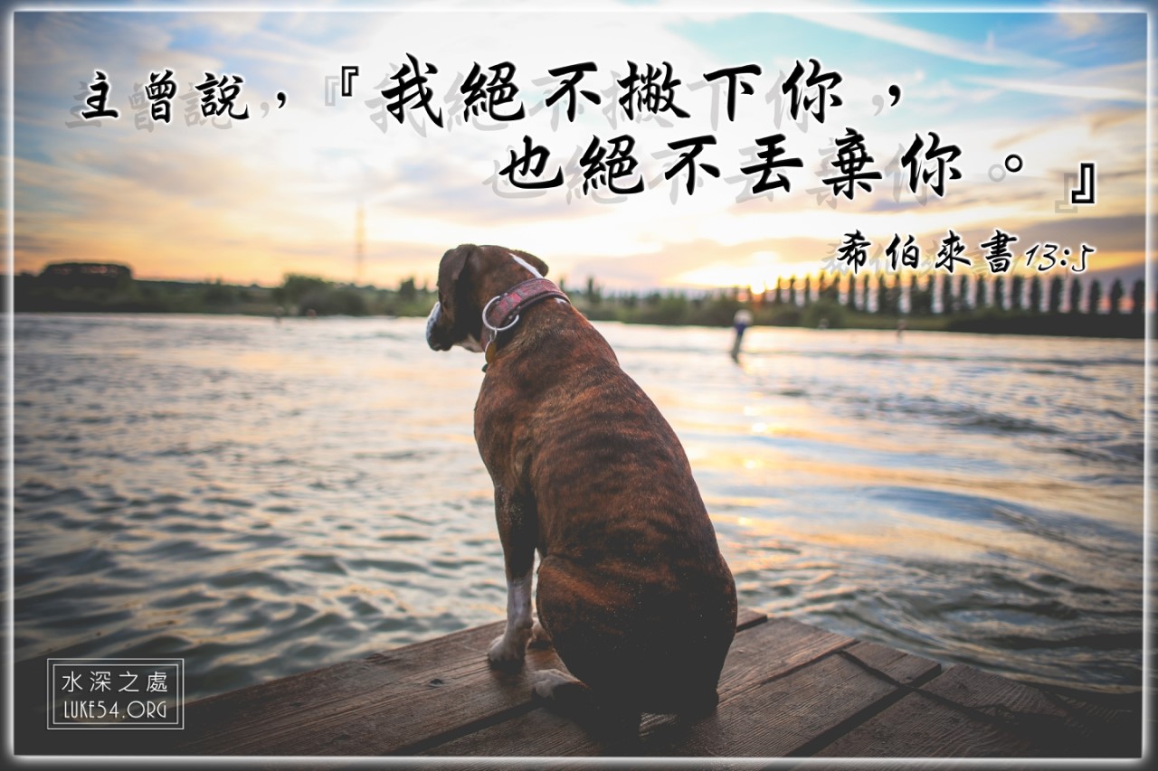 主人,你要去哪裡!?
