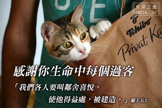 感謝你生命中的每一個過客