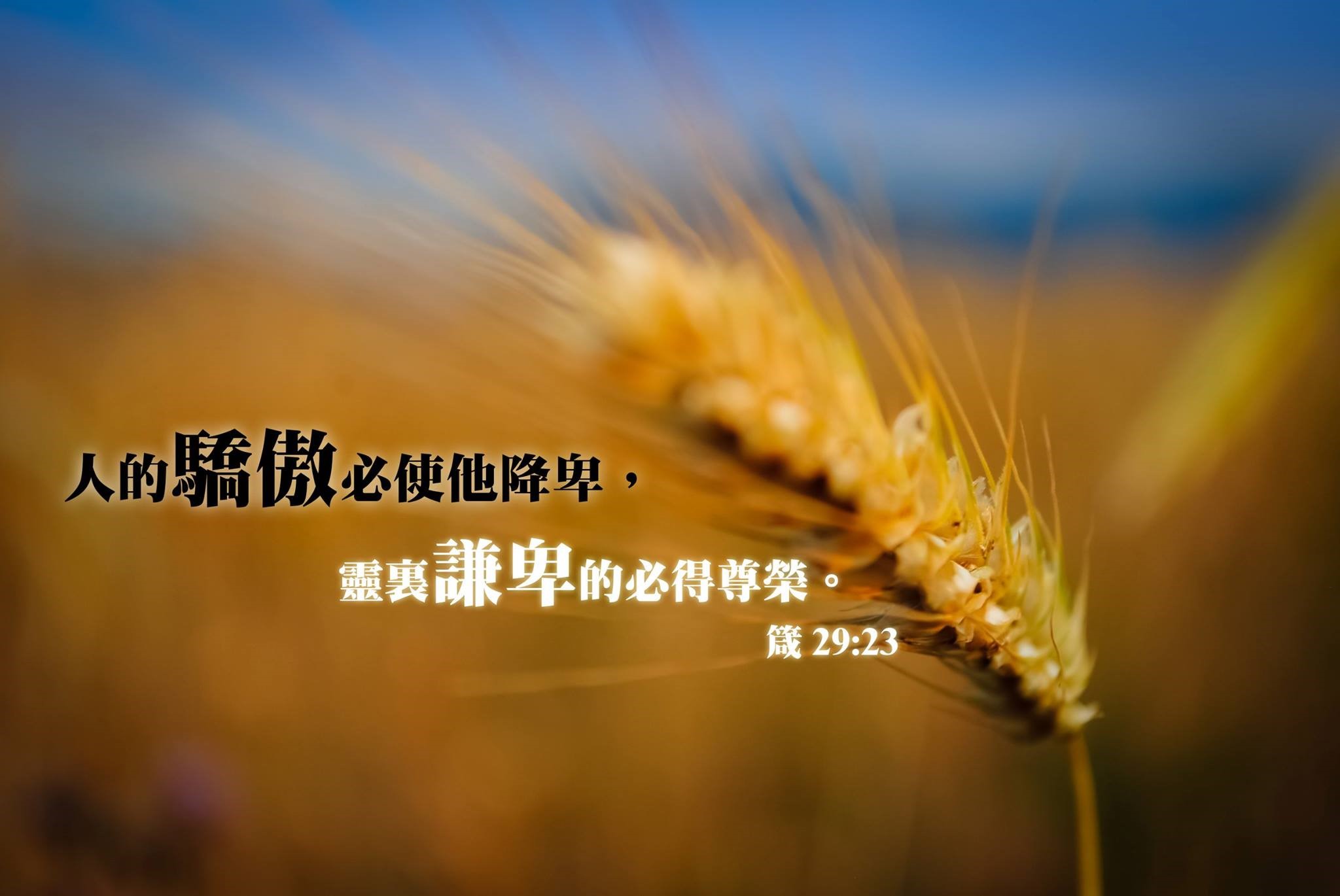 修剪花木的老人