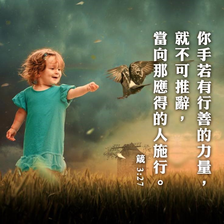 善良是我們為自己留下的路標