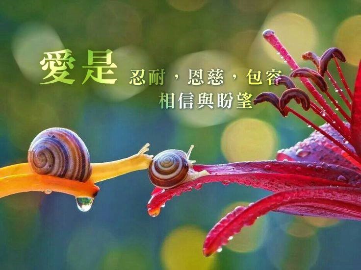 跟著蝸牛去散步 作者:張文亮