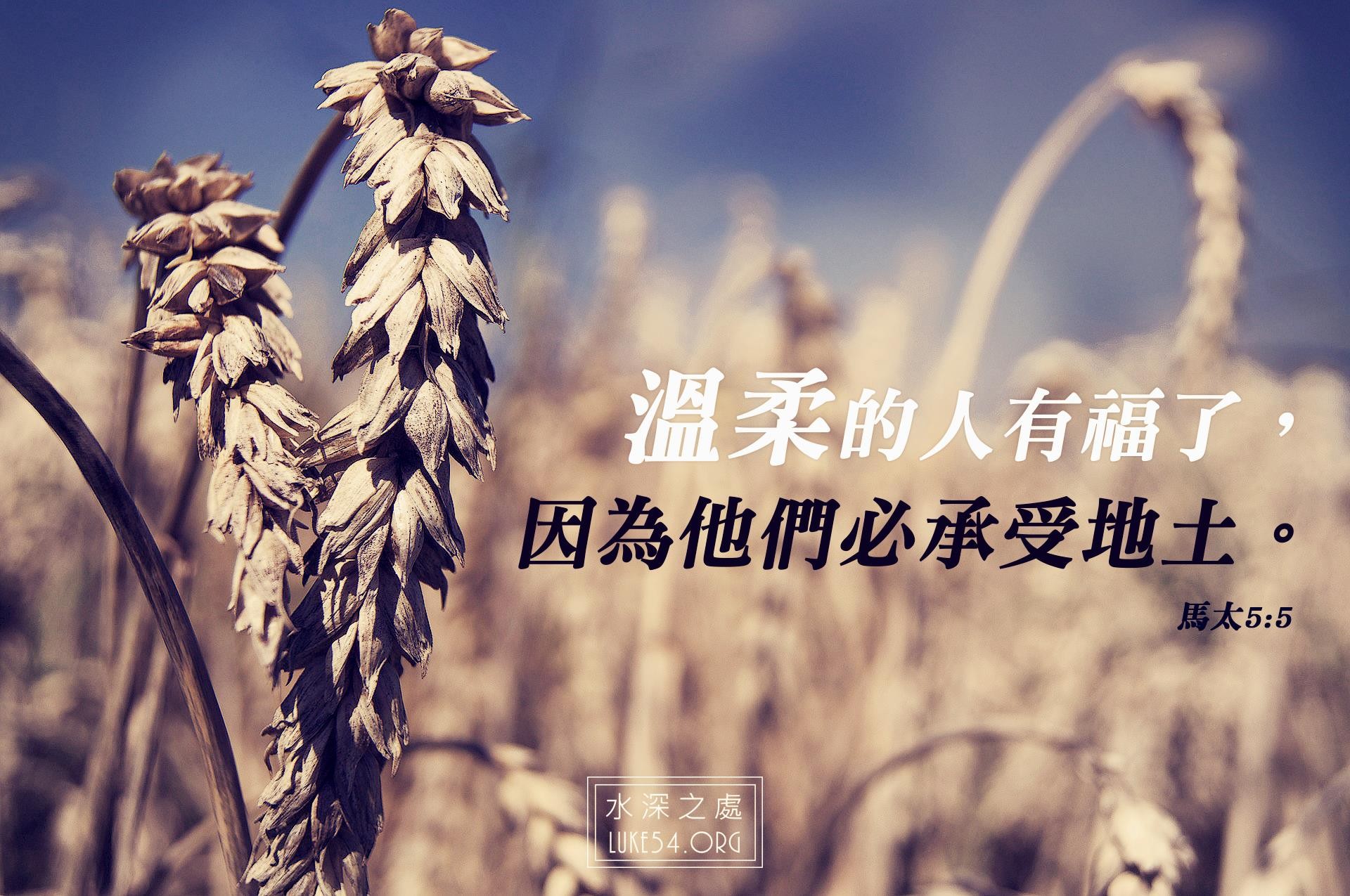 彎腰拾起的尊嚴