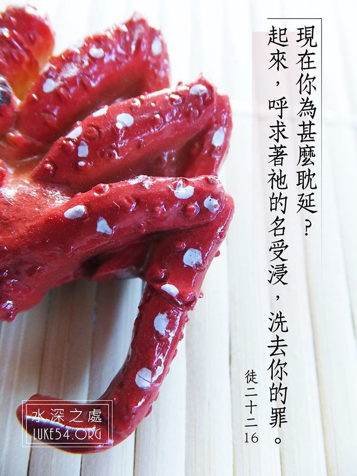 剝螃蟹的男孩