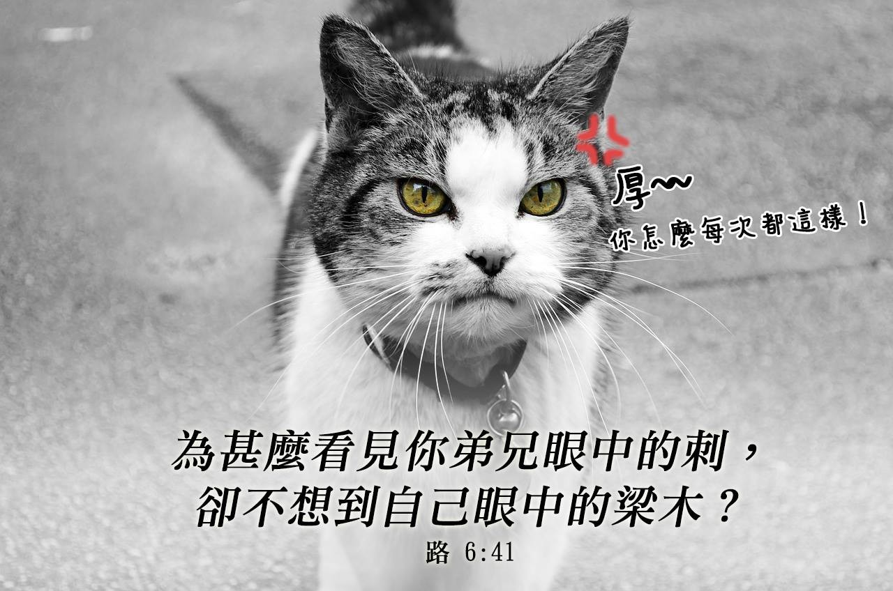 一百個微笑的臉