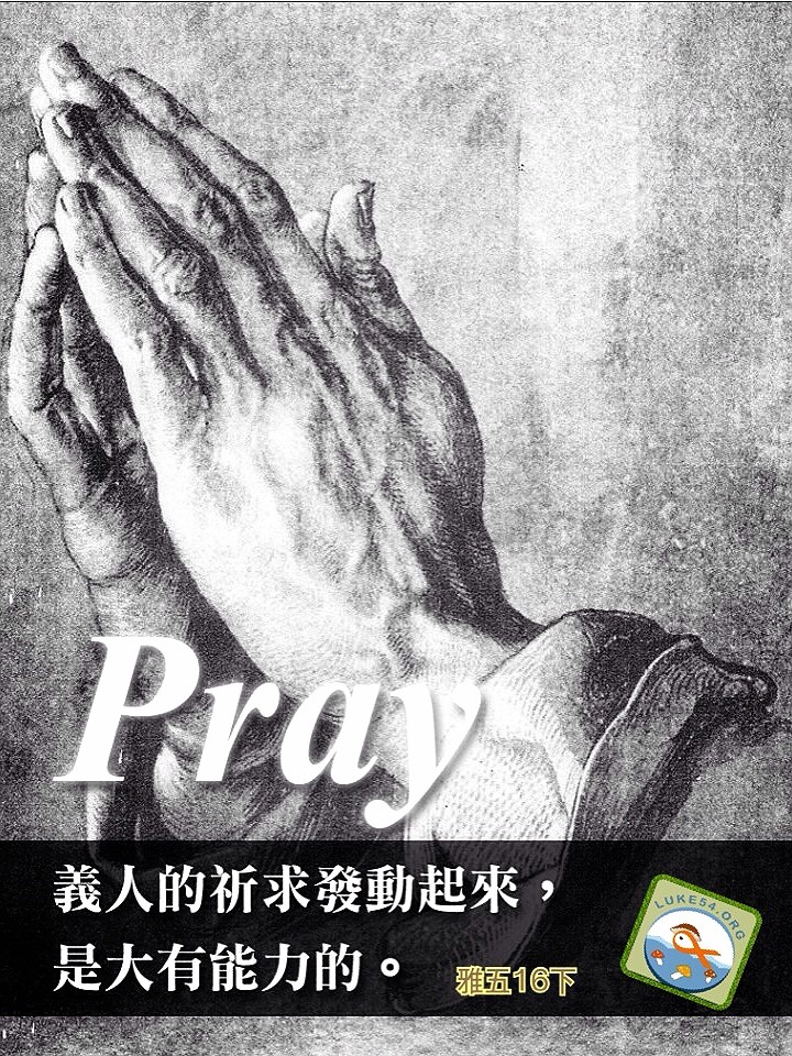 祈禱之手