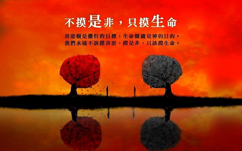 不摸是非,只摸生命