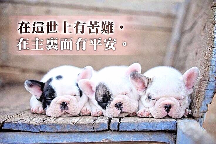 在主裏面有平安