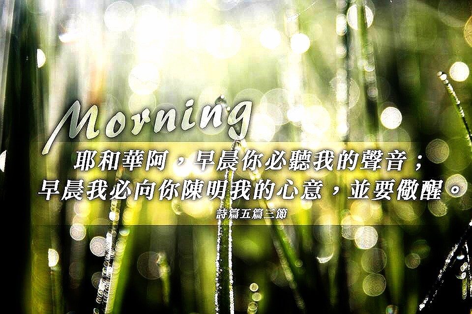 清晨時光