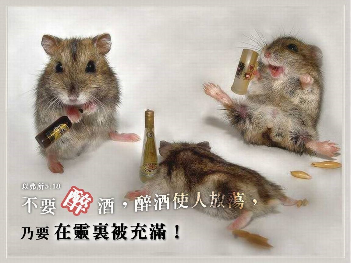 愛喝酒的我成了基督徒